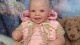 Harper (2)